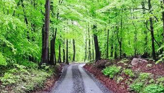 Studio apartment at Sugarloaf Log House - Foto 3