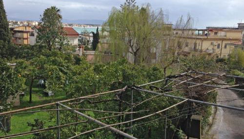 Casa sul Monte d'Oro - Foto 5, Garden, Garden view