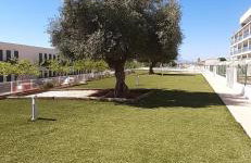 L'Aljub - Foto 13