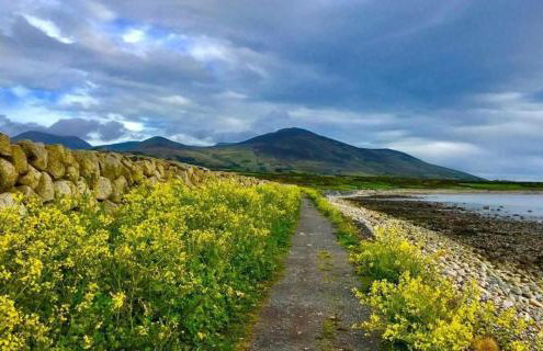 Foot of the Mournes - Cottage - Sleeps 4 - Parking - Photo 47