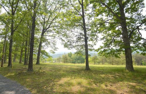 Black Bear Cabin - Fire Pit, Grill, View, Pet Friendly, Fireplace, King Bed, Wifi, Game Room - Foto 46