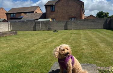 Maesllan - A Spacious Holiday Home in Porthcawl - 5 bedrooms, sleeps up to 10 people - Foto 49