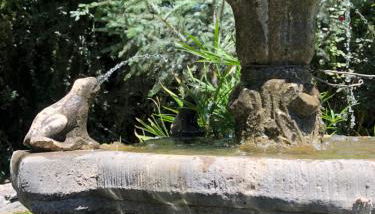 El Edén de Cazorla - Foto 5, Garden