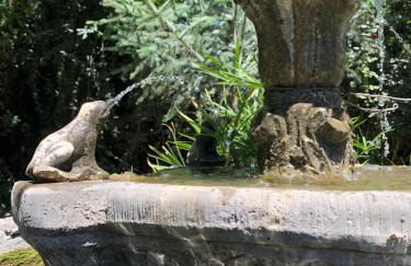 El Edén de Cazorla - Foto 5