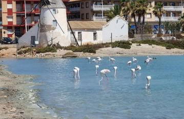 Casa del Sol - Foto 19