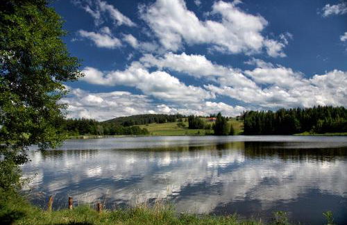 FeWo Froschkönig mit Sauna & Bergblick, Self-Check-in, WLAN, Parkplatz, zentrumsnah - Foto 33