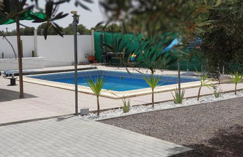 Oasis Pool in the Desert BBQ and Garden - Foto 1