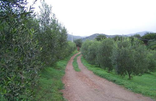 Nurazzolas - Foto 22