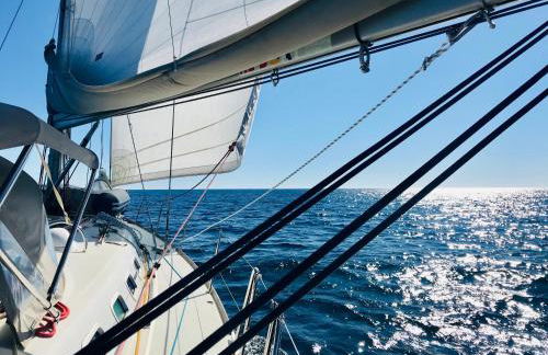 OctopusGarden Apartments Porto Cheli - Foto 69