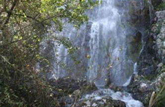 Oak Cottage - Foto 32