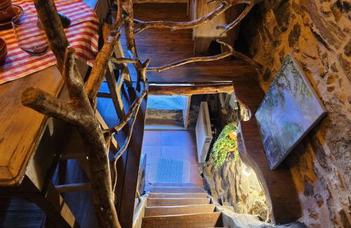 Cardenha das Formiguinhas - Foto 55