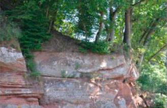 Eifelblick über dem See - Foto 19