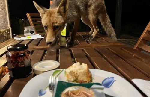 El MIRADOR DEL TORMES - Foto 37