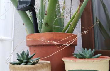 Patio & Sherry Apartamento - Foto 43