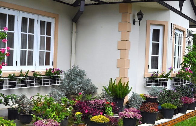 Cocoon Hills - Foto 29