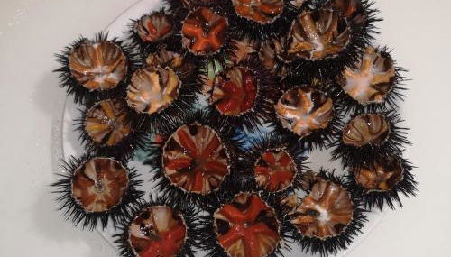 Villa Irene - Foto 5