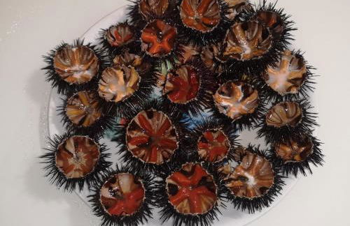 Villa Irene - Foto 5