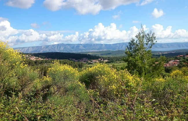 House Pod Humom - Foto 44