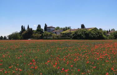 Agriturismo Corte Spino - Foto 18