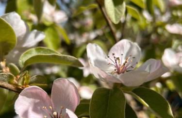 Historic Farmhouse Casa Del Chiodo - Foto 28