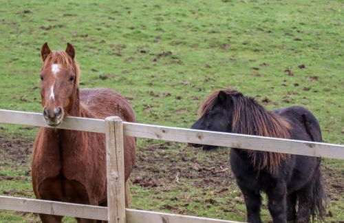 Fern Cottage - Foto 15