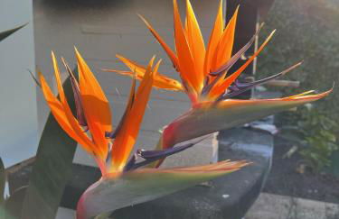 !Chalet de lujo para vacaciones!... - Foto 16