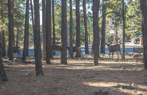 2 Living Rooms Fires Quick Drive Downtown - Foto 48