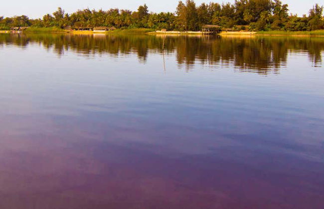 Excursión privada al Lago Rosa - Foto 2