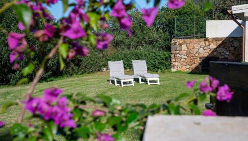 Green House - Foto 4, Garden, sunbed, Garden view