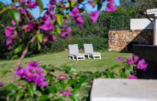 Green House - Foto 4