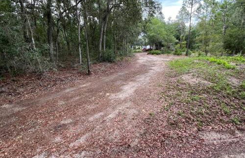 Half Moon Lake property - Foto 19