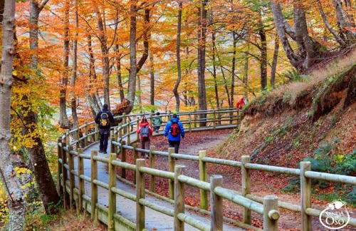 La Casa Roja de Quirós - Foto 43
