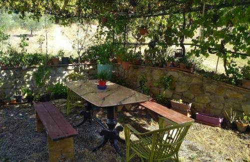 Podere Vinciguerra 39 - Foto 15