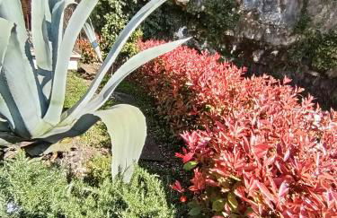 CITRUS Apartment Brenzone - Foto 20