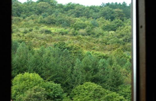 Apartamentos Pistolo - Foto 14