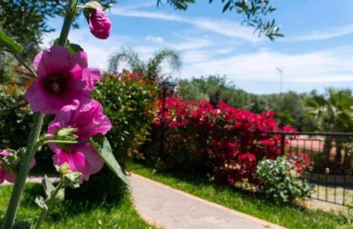 DONNA FILOMENA Residence - Foto 48