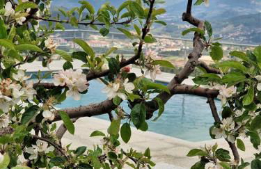 Quinta da Gandarela - Foto 7