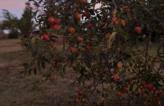 Logement entier de charme, gite équestre GERS Flamarens - Photo 39
