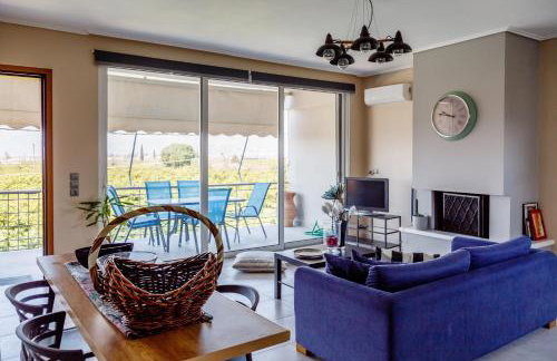 The Orange Garden - Foto 46