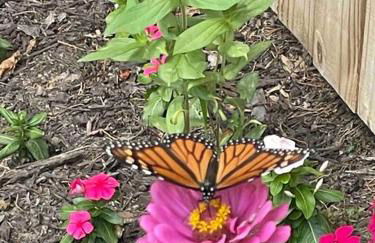 Crow's Nest - Private Guest Apt Near Bike Trail/3.7 mi to Beach - Foto 19