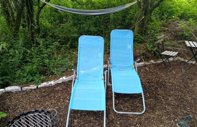 Pilgrims Shepherd's Hut - Goosewell Glynn Glamping - Foto 11