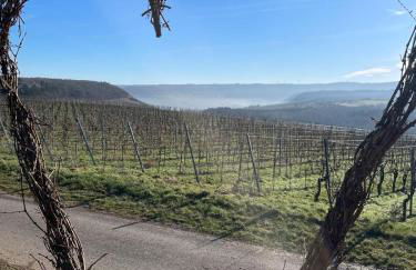 Neue Loft im alten Kelterhaus - Urlaub im Wein- und Ferienort Bekond - Foto 8