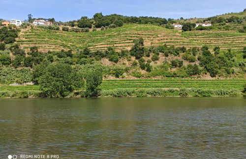 Vineyards Valley House - Foto 23