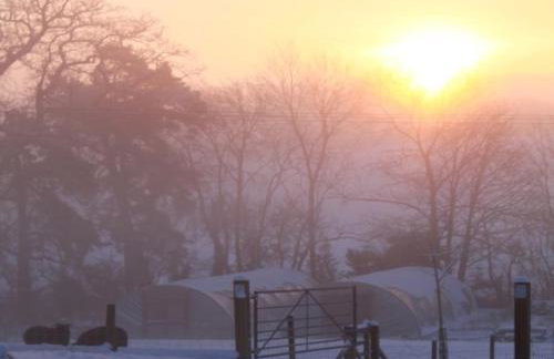 Bay Tree Cottage Accommodation - Photo 31