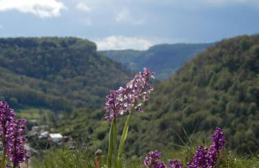 Superbe logement "Loulaloue" ! - Foto 10