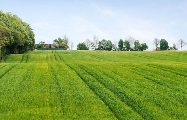 "Harre" - 300m from the sea - Foto 24