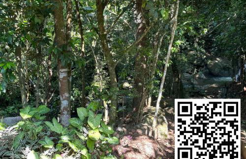 Sítio Morada do Pai com Piscina e Sinuca - Foto 25