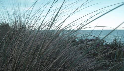 Lütte Höög - Foto 5