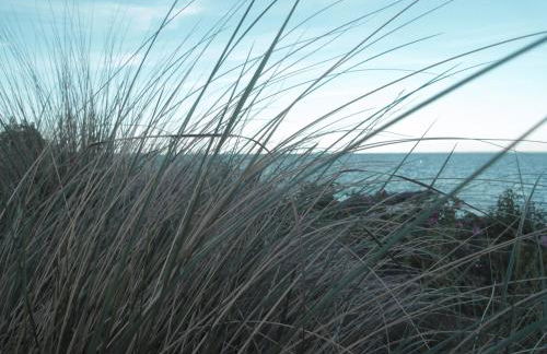 Lütte Höög - Foto 5