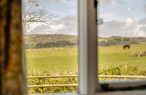 2 Bed in Newchurch oc-ic127 - Foto 3